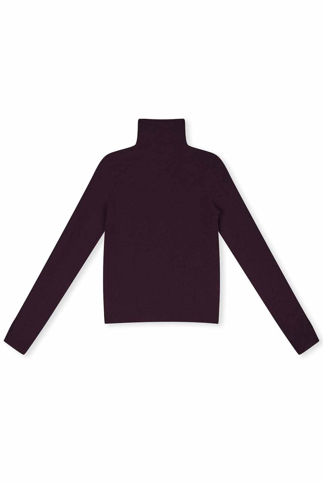 100% Extra-Fine Merino Wool Turtleneck Sweater